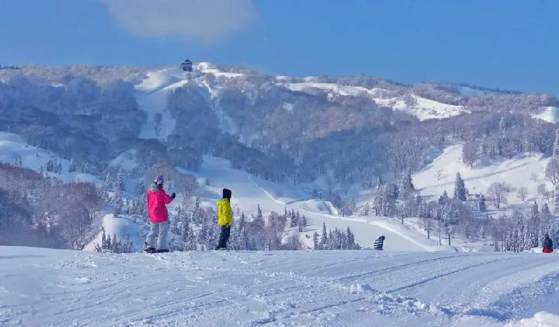 Joetsu Kokusai Ski Resort: 2D1N/3D2N Ski/Snowboard Package From Tokyo (Jan 25~Mar 13) - view 1