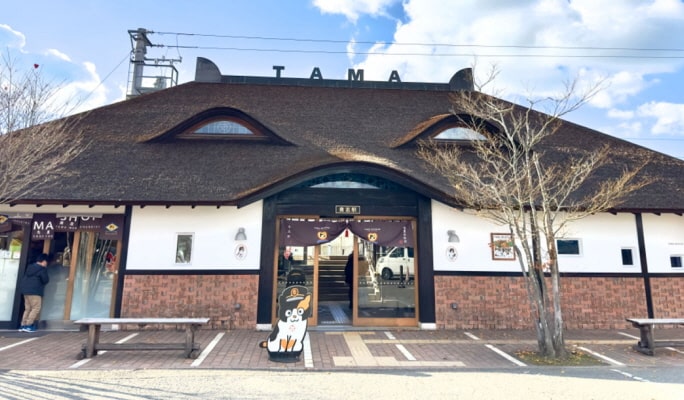 Wakayama Kishi Station + Mt. Koya + Kuroshio Market 1 Day Tour - from Osaka
