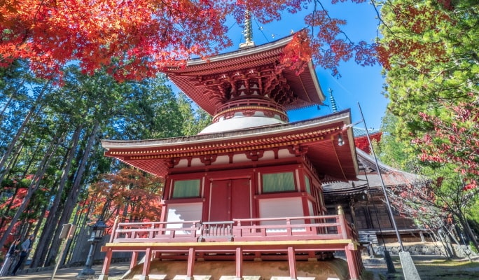 Wakayama Kishi Station + Mt. Koya + Kuroshio Market 1 Day Tour - from Osaka