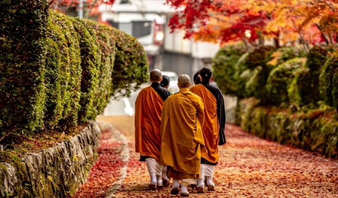 Wakayama Kishi Station + Mt. Koya + Kuroshio Market 1 Day Tour - from Osaka