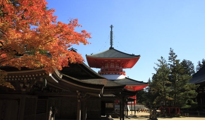 Wakayama Kishi Station + Mt. Koya + Kuroshio Market 1 Day Tour - from Osaka