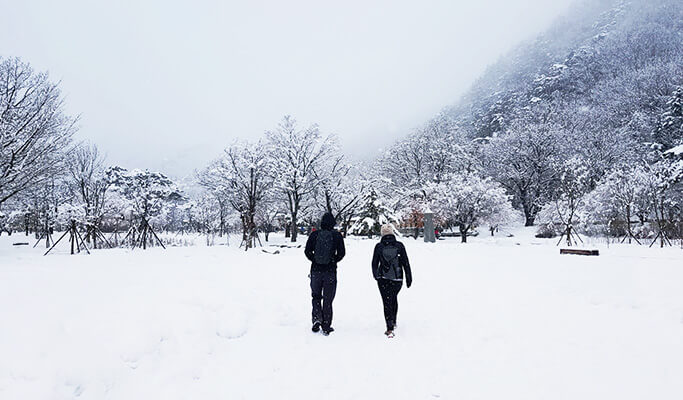 Half Day Mt. Seoraksan Tour from Yongpyong Ski Resort