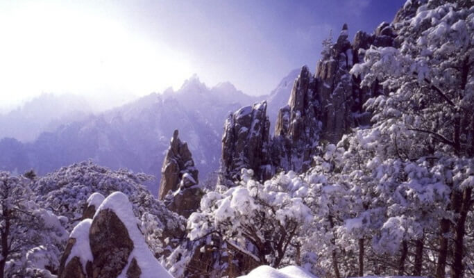 Half Day Mt. Seoraksan Tour from Yongpyong Ski Resort