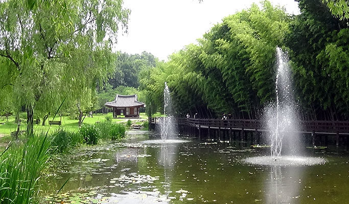 Damyang Bamboo Forest + Meta Provence Private Tour - from Seoul