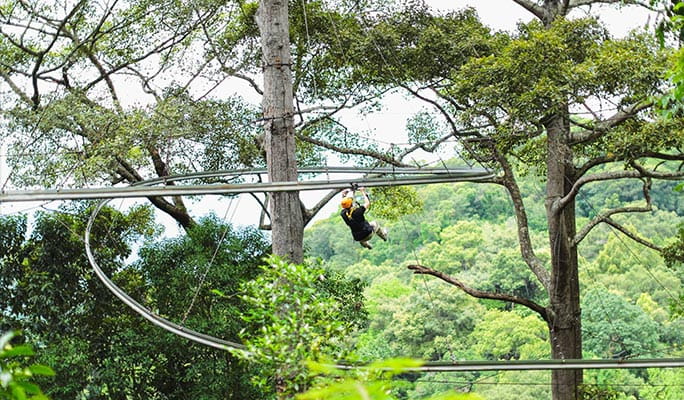 Jungle Flight Chiang Mai Zipline (+ Hotel Transfer)