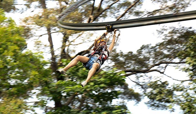 Jungle Flight Chiang Mai Zipline (+ Hotel Transfer)