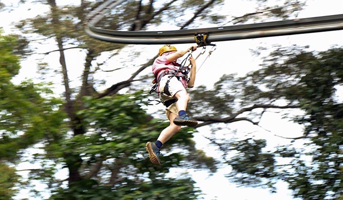 Jungle Flight Chiang Mai Zipline (+ Hotel Transfer)