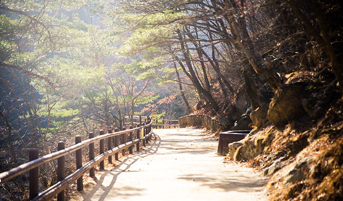 Gyeongbuk Cheongsong Juwangsan National Park Hiking Tour from Daegu
