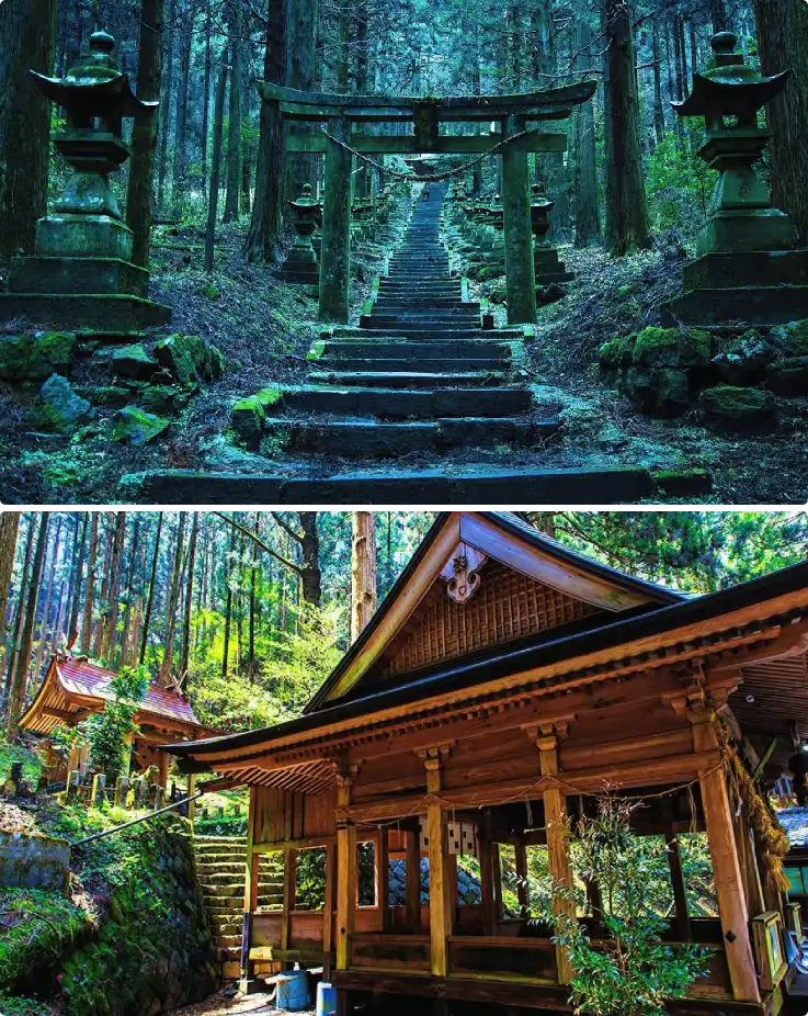 Stone steps lined with moss-covered lanterns at Kamishikimi Kumanoimasu Shrine