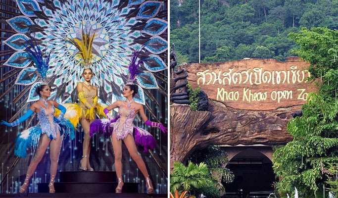 Alcazar Show + Khao Kheow Open Zoo Discount Ticket