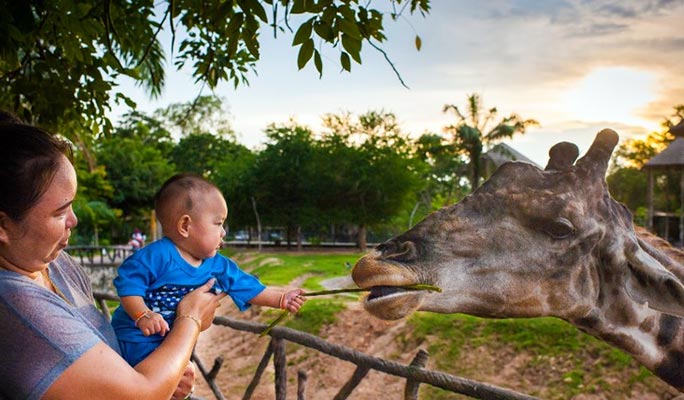 カオキアオ動物園入場券