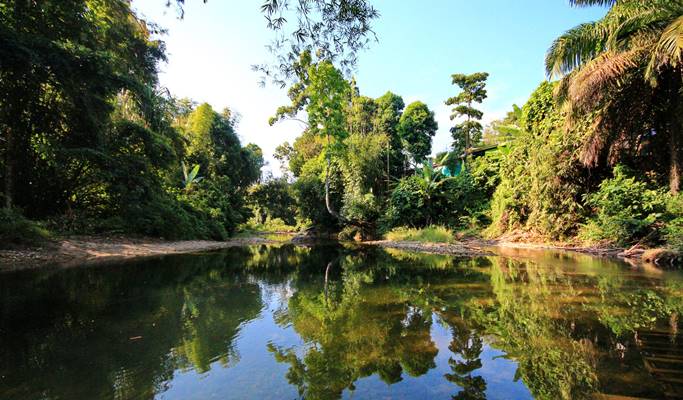 Khao Lak Tour: Rafting + Sea Turtle Center (+Elephant Feeding & Bathing option)