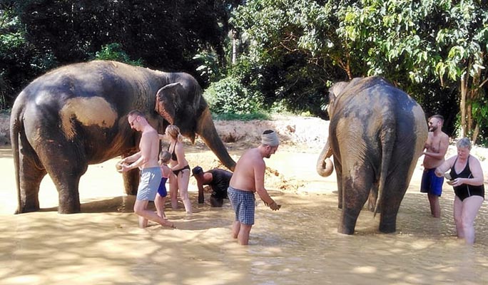 Khao Sok Elephant Sanctuary + Bamboo Rafting + Cooking Class 1 Day Tour (+  Lunch) (+ Hotel Transfer) - From Khao Lak/ Khao Sok/ Phuket/ Krabi (Join-in/Private)