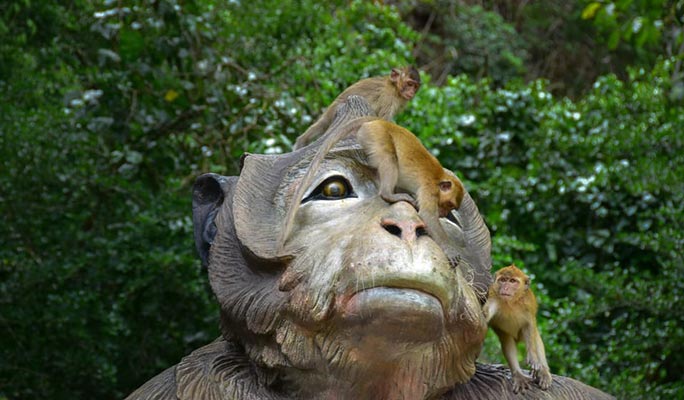 Khao Sok Elephant Sanctuary + Bamboo Rafting + Cooking Class 1 Day Tour (+  Lunch) (+ Hotel Transfer) - From Khao Lak/ Khao Sok/ Phuket/ Krabi (Join-in/Private)
