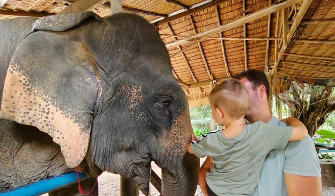 Khao Sok Elephant Sanctuary + Bamboo Rafting + Cooking Class 1 Day Tour (+  Lunch) (+ Hotel Transfer) - From Khao Lak/ Khao Sok/ Phuket/ Krabi (Join-in/Private)