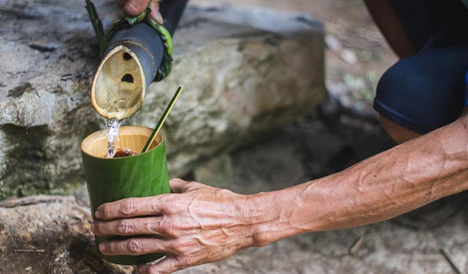 Khao Sok Elephant Sanctuary + Bamboo Rafting + Cooking Class 1 Day Tour (+  Lunch) (+ Hotel Transfer) - From Khao Lak/ Khao Sok/ Phuket/ Krabi (Join-in/Private)