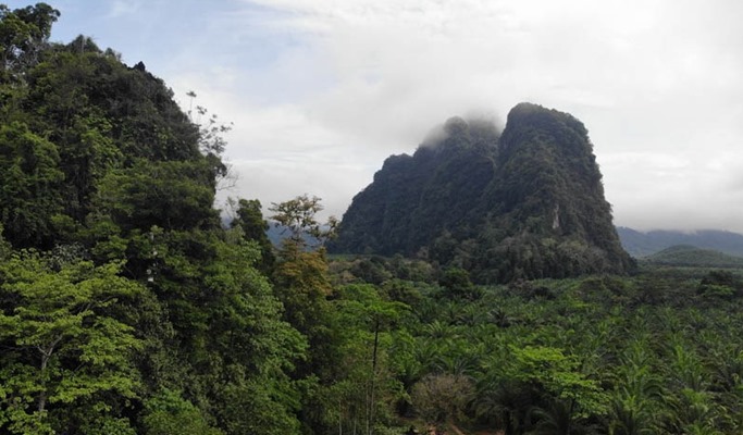 Khao Sok Elephant Sanctuary Visit (+ transfer from Khao Sok)