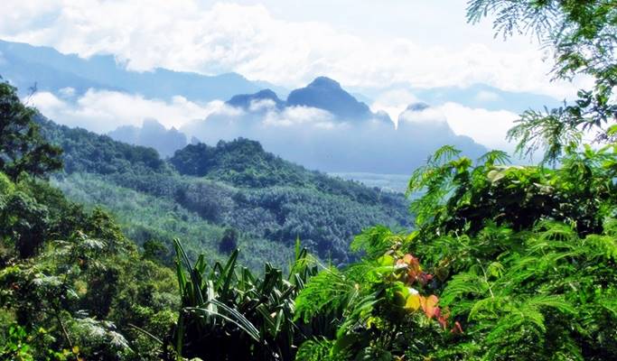 Khao Sok National Park Full Day Tour (Canoeing/Bamboo Rafting option) - from Phuket / Khao Lak