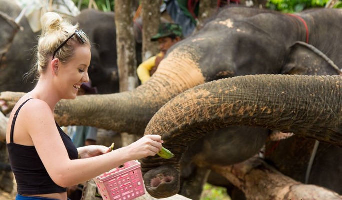 Khao Sok National Park Full Day Tour (Canoeing/Bamboo Rafting option) - from Phuket / Khao Lak