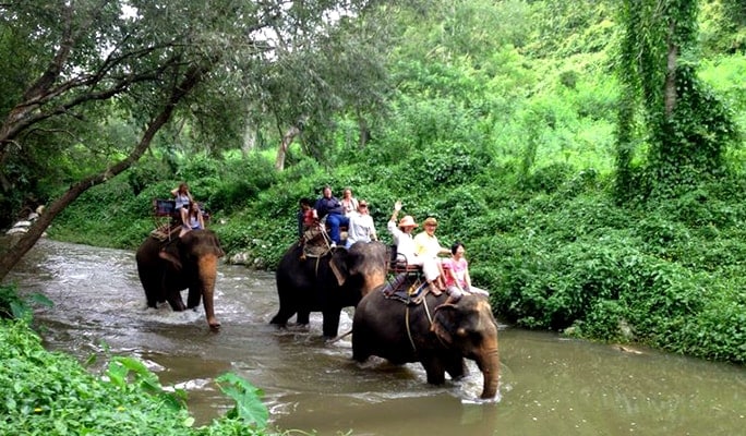 Khao Yai National Park Tour Thai Cooking Class From Bangkok Private Trazy Your Travel Shop For Asia