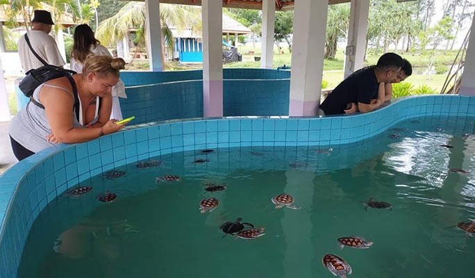 Khao Lak Bamboo Rafting + Waterfall + Turtle Conservation Half Day Tour (+ Hotel Transfer)
