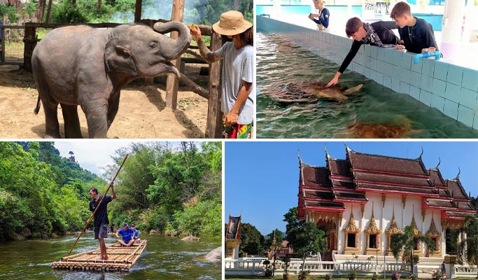 Khao Lak Elephant Sanctuary + Bamboo Rafting + Turtle Conservation Center 1 Day Tour (+  Lunch) (+ Hotel Transfer) (Join-in/Private)