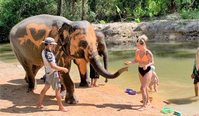 Khao Lak Elephant Sanctuary + Bamboo Rafting + Turtle Conservation Center 1 Day Tour (+  Lunch) (+ Hotel Transfer) (Join-in/Private)
