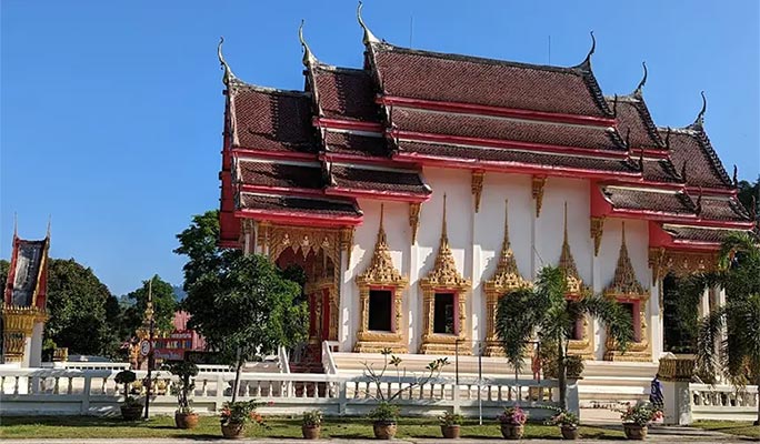 Khao Lak Elephant Sanctuary + Bamboo Rafting + Turtle Conservation Center 1 Day Tour (+  Lunch) (+ Hotel Transfer) (Join-in/Private)