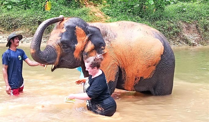 Khao Lak Elephant Sanctuary + Bamboo Rafting + Turtle Conservation Center 1 Day Tour (+  Lunch) (+ Hotel Transfer) (Join-in/Private)