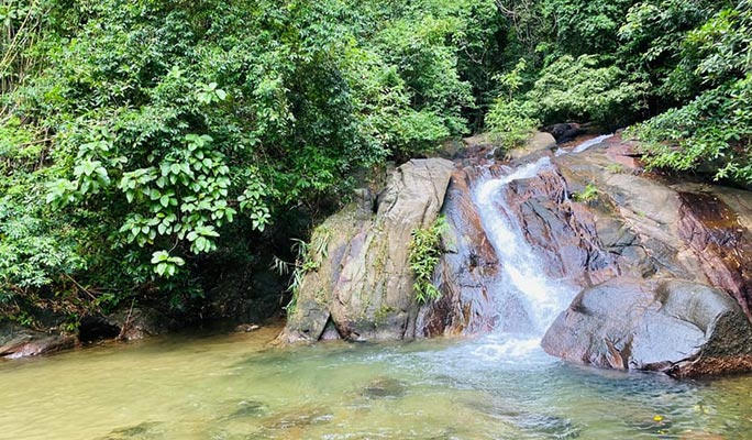 Khao Lak Elephant Sanctuary + Bamboo Rafting + Turtle Conservation Center 1 Day Tour (+  Lunch) (+ Hotel Transfer) (Join-in/Private)