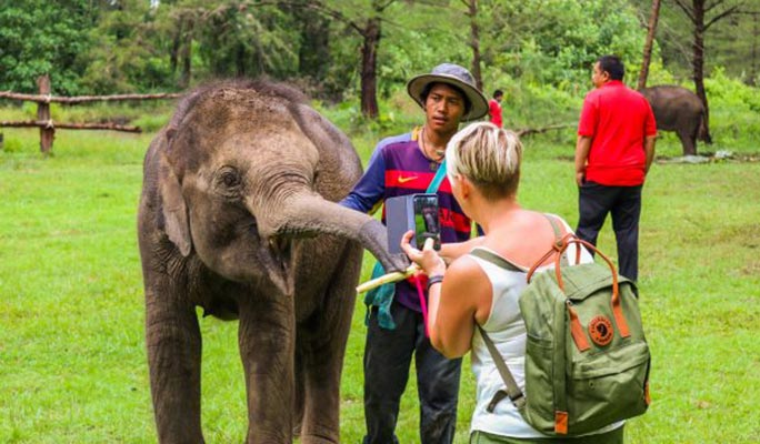 Khao Lak Elephant Home Sanctuary Visit (Morning/Afternoon) (+ Hotel Transfer)