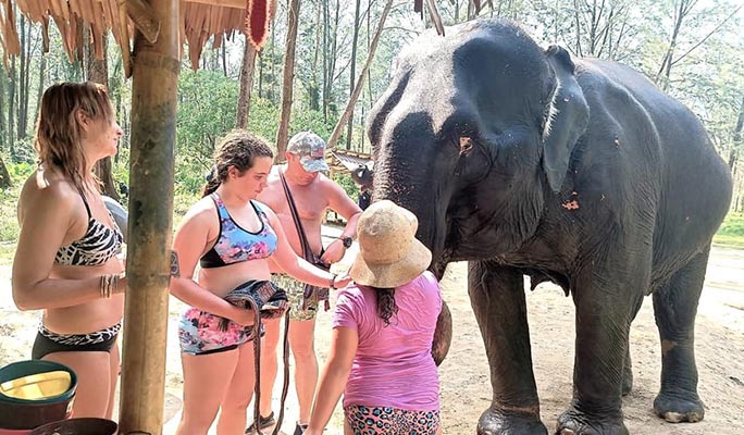 Khao Lak Elephant Home Sanctuary Visit (Morning/Afternoon) (+ Hotel Transfer)