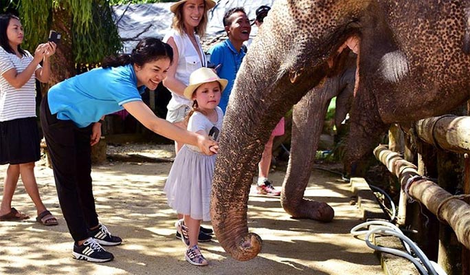 Khao Lak Elephant Home Sanctuary Visit (Morning/Afternoon) (+ Hotel Transfer)
