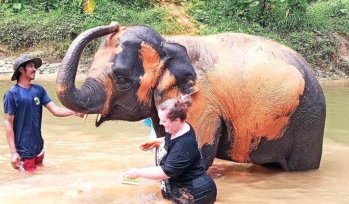 Khao Lak Elephant Home Sanctuary Visit (Morning/Afternoon) (+ Hotel Transfer)