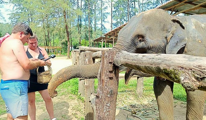 Khao Lak Elephant Home Sanctuary Visit (Morning/Afternoon) (+ Hotel Transfer)
