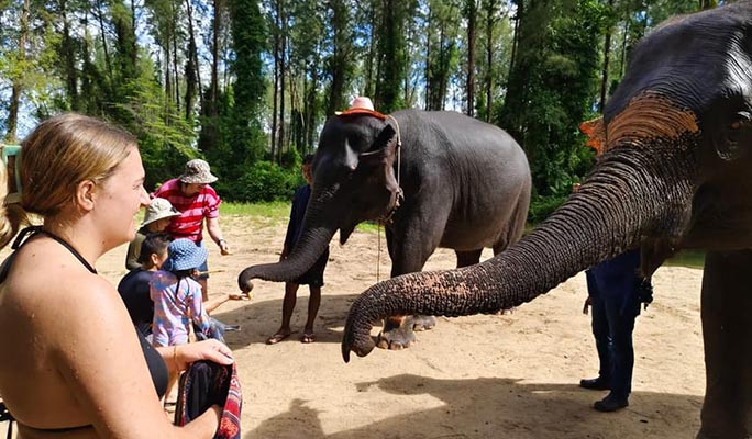 Khao Lak Elephant Home Sanctuary Visit (Morning/Afternoon) (+ Hotel Transfer)