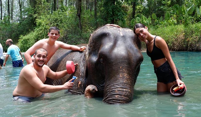 Khao Lak Elephant Home Sanctuary Visit (Morning/Afternoon) (+ Hotel Transfer)