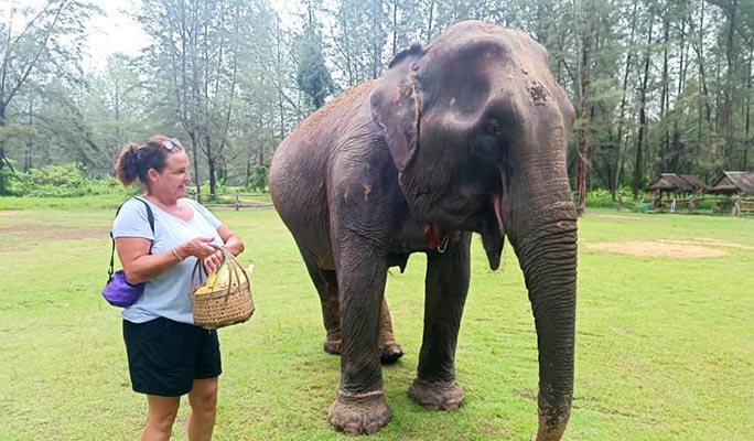 Khao Lak Elephant Home Sanctuary Visit (Morning/Afternoon) (+ Hotel Transfer)