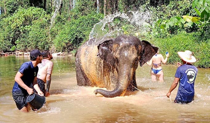 Khao Lak Elephant Home Sanctuary Visit (Morning/Afternoon) (+ Hotel Transfer)