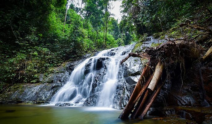 Khao Sok Elephant Sanctuary + National Park Trekking 1 Day Tour (+ Dinner) (+ Hotel Transfer) - From Khao Lak