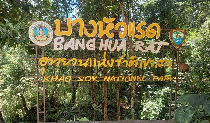 Khao Sok Elephant Sanctuary + National Park Trekking 1 Day Tour (+ Dinner) (+ Hotel Transfer) - From Khao Lak