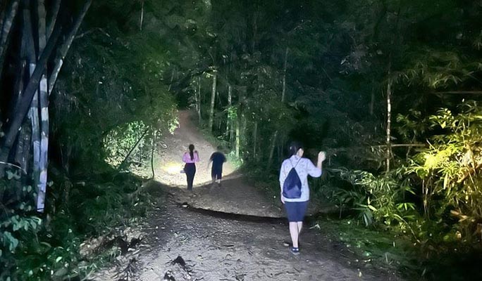 Khao Sok Jungle Wildlife Encounter + Bamboo Rafting 1 Day Tour (+ Dinner) (+ Hotel Transfer) - From Khao Lak