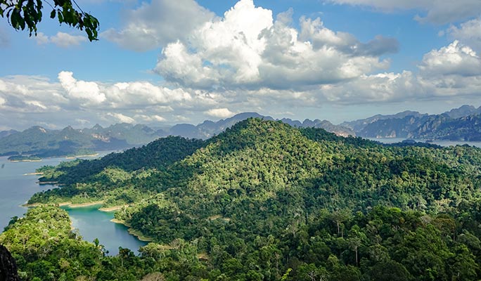 Khao Sok Jungle Wildlife Encounter + Bamboo Rafting 1 Day Tour (+ Dinner) (+ Hotel Transfer) - From Khao Lak