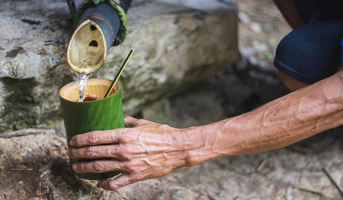 Khao Sok Jungle Wildlife Encounter + Bamboo Rafting 1 Day Tour (+ Dinner) (+ Hotel Transfer) - From Khao Lak