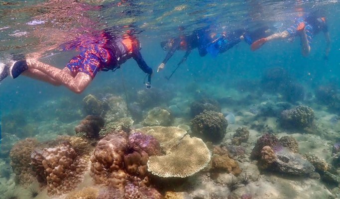 Koh Khram Noi 1 Day Snorkeling Tour - from Pattaya