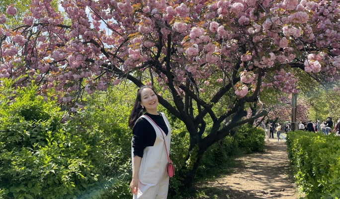 春スペシャル：ソウル王桜1日ツアー （4月14日～24日）