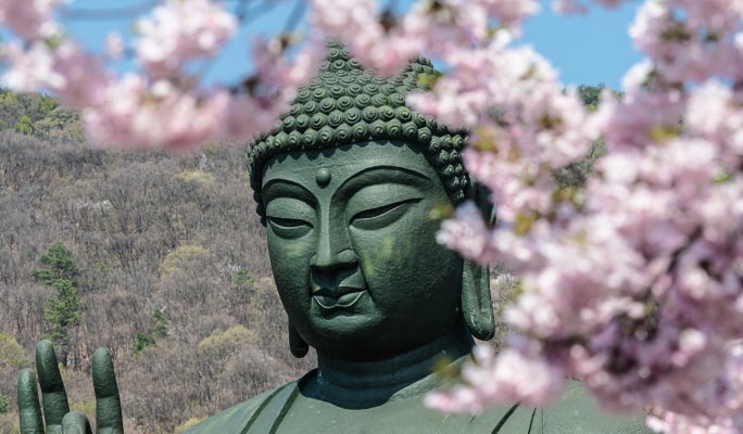 春季特輯：首爾出發 - 水原華城/寺廟/平澤春花節 - 櫻花名勝一日遊（4月7日~26日）