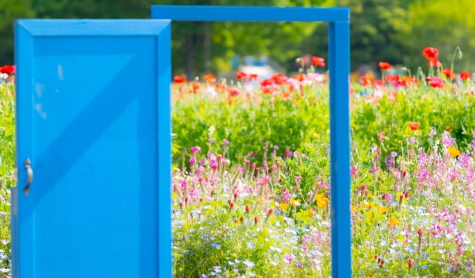 Spring Special: Showa Kinen Park + Rikugien Gardens + Asukayama Park 1 Day Tour from Tokyo (Mar 21~Apr 9)