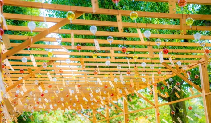 Spring Special: Showa Kinen Park + Rikugien Gardens + Asukayama Park 1 Day Tour from Tokyo (Mar 21~Apr 9)
