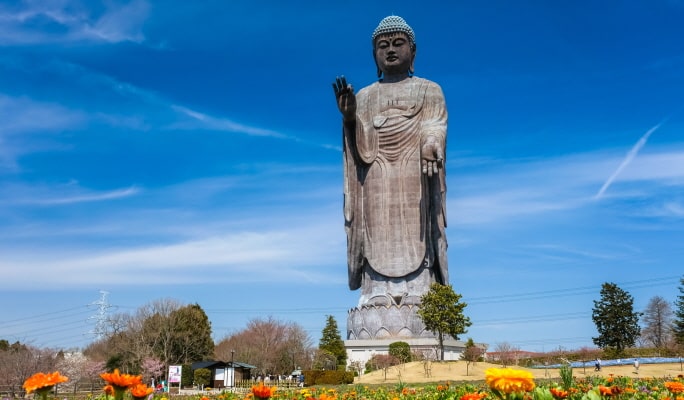 Spring Special: Ibaraki Hitachi Seaside Park + Ushiku Daibutsu + Mentai Park 1-Day Tour from Tokyo (Apr 14~May 14)